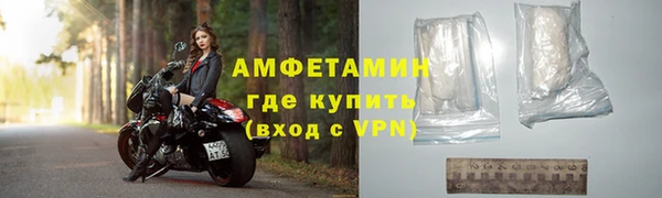индика Няндома