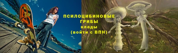 винт Алексеевка