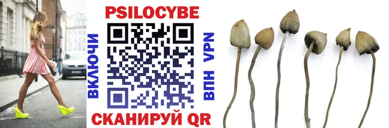 Галлюциногенные грибы MAGIC MUSHROOMS  blacksprut ссылки  Пущино 