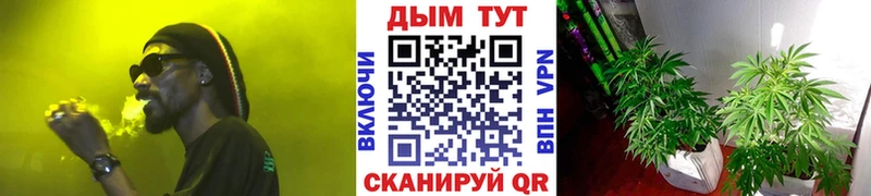Бошки Шишки AK-47  цены наркотик  Пущино 